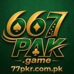 667pak game